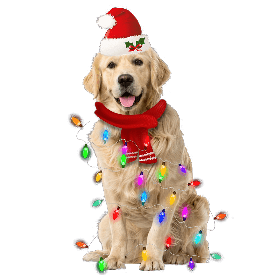 Christmas Golden Retriever Design - DTF Ready To Press