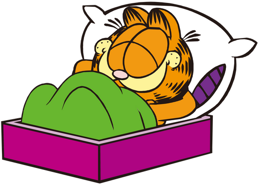 Sleeping Garfield Cartoon Design - DTF Ready To Press