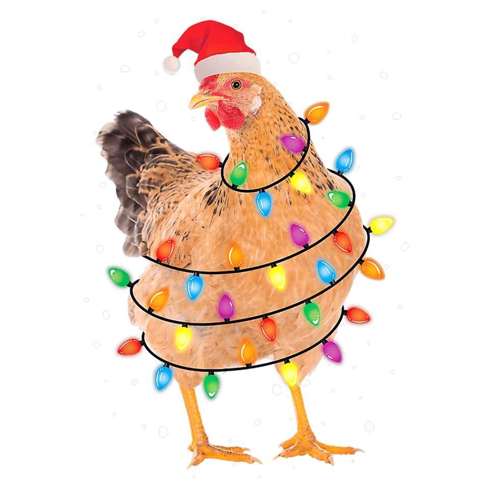 Christmas Chicken Design - DTF Ready To Press