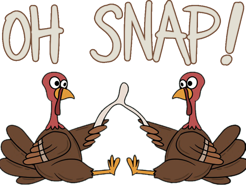 Thanksgiving Turkey Design - DTF Ready To Press