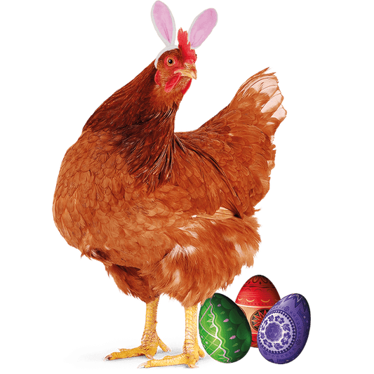 Cockerel Easter Design - DTF Ready To Press